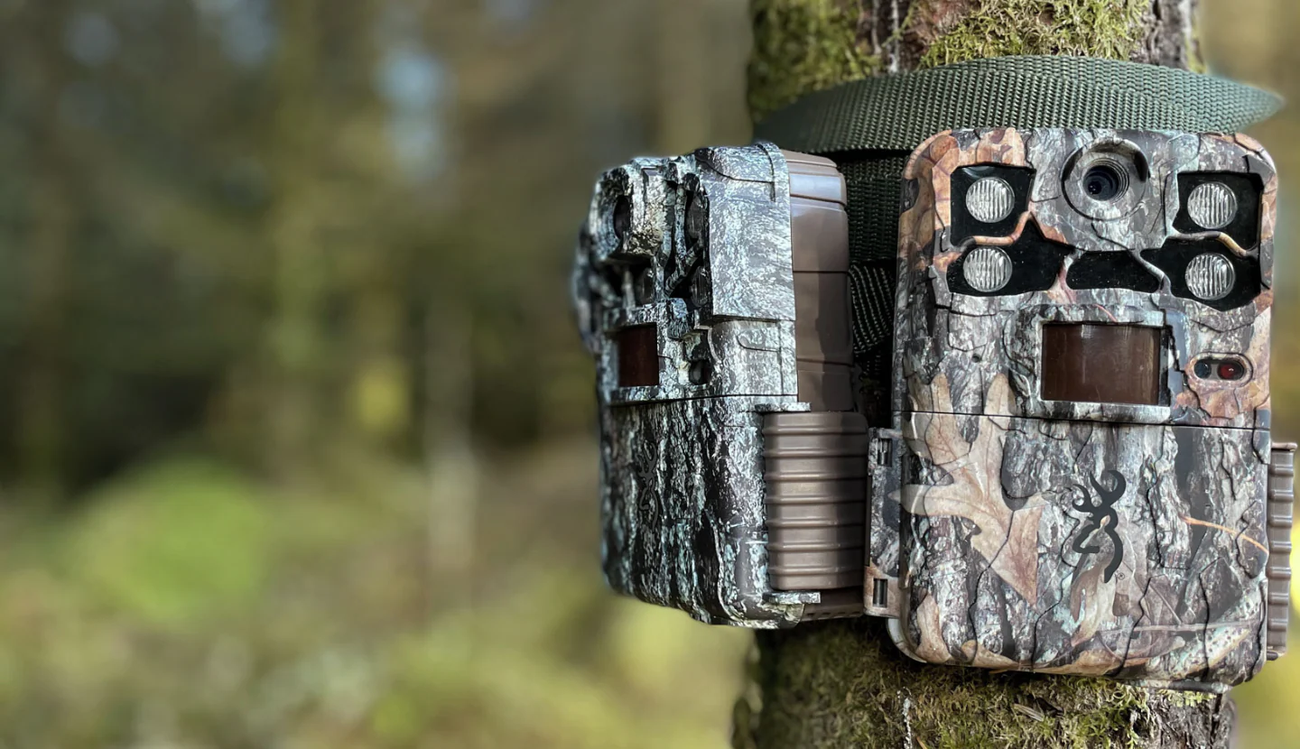 guida fototrappola completa trucchi e consigli